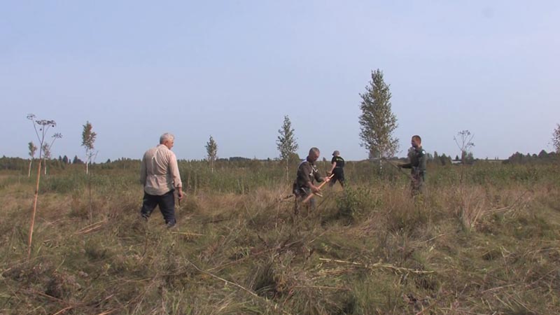 Original scything championships in the Biebrza National Park