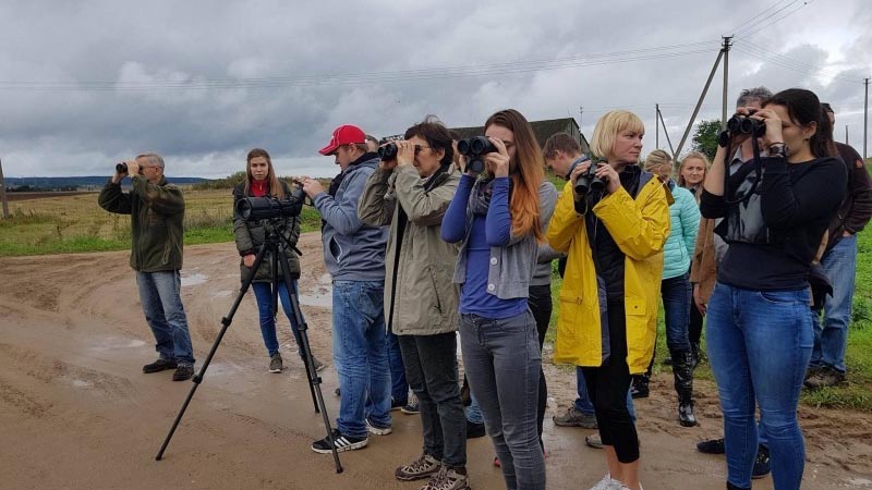 W weekend w okolicach jeziora Žuvintas pożegnaliśmy odlatujące ptaki 